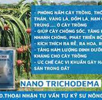 1 Viên sủi Nano Tricho tại Đắk Nông mua ở đâu chính hãng