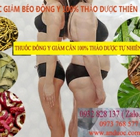 2 Thuốc giảm cân thảo dược an toàn hiệu quả