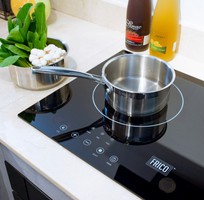 3 Bếp điện từ Frico FC-DC166  Induction Cooker