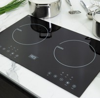 4 Bếp điện từ Frico FC-DC166  Induction Cooker