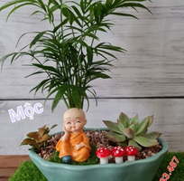 13 Shop Nhà Mộc - Chuyên cây cảnh để bàn , cây phong thủy , cây bonsai tài lộc