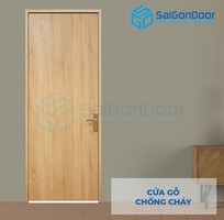 6 Cửa chung cư cửa gỗ chống cháy