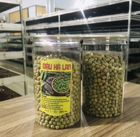 Đậu hà lan 500gr