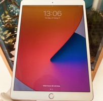 1 Bán pro 10.5 64GB 4G   WiFi siêu hiếm