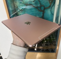 4 Bán pro 10.5 64GB 4G   WiFi siêu hiếm