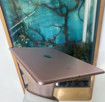 5 Bán pro 10.5 64GB 4G   WiFi siêu hiếm