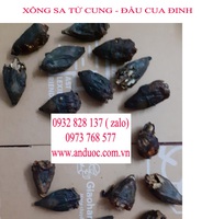 Thuốc xông trị bệnh sa tử cung cho phụ nữ sau sinh