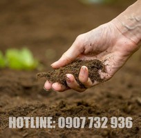 Đất Trồng Cây Giá Rẻ Tại Đồng Nai