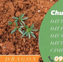 1 Đất Trồng Cây Giá Rẻ Tại Đồng Nai