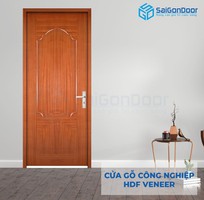 5 Cửa gỗ HDF VENEER  cao cấp