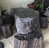 Bộ bàn ghế gỗ mum hoá đá, hàng hiếm trên thị trường