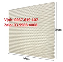 3 Lưới điện cực titan lớp phủ platinum kích thước 1x50x100mm