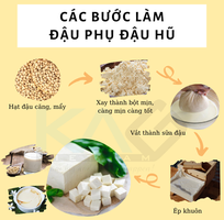 Hệ thống sản xuất đậu phụ  đậu hũ  giá cả hợp lý, tiết kiệm thời gian