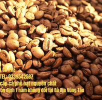 Cung cấp và phân phối cà phê nguyên chất tại tỉnh Bà Rịa-Vũng Tàu với giá sỉ cực sốc
