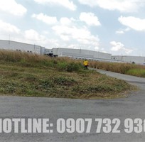 Cắt Cỏ, Phát Hoang Giá Rẻ