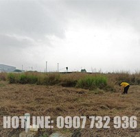 2 Cắt Cỏ, Phát Hoang Giá Rẻ