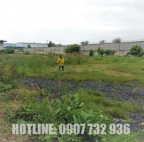 3 Cắt Cỏ, Phát Hoang Giá Rẻ