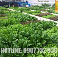 Báo Giá Đất Trồng Cây Giá Rẻ