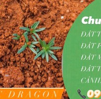 1 Báo Giá Đất Trồng Cây Giá Rẻ