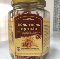 2 Đông trùng hạ thảo Trường cao đẳng dược Hải Dương