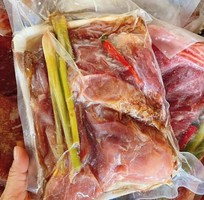 9 Chuyên cung cấp Gà Tây thịt với giá rẻ nhất thị trường số lượng lớn, ổn định