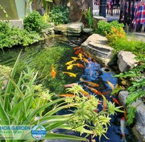 Thi công hồ cá Koi đẹp ở Đăng Khoa Garden   Uy tín, giá rẻ, chất lượng cao