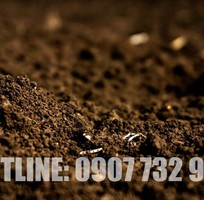 1 Đất Hữu Cơ Trồng Cây