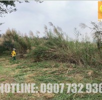 Cắt Cỏ Phát Hoang Bụi Rậm