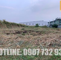 1 Cắt Cỏ Phát Hoang Bụi Rậm