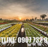 1 Cung Cấp Đất Hữu Cơ Trồng Cây