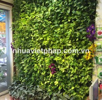 Modul vườn tường đứng Nhựa Việt Pháp