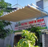 1 Dù che đẹp Đà Nẵng