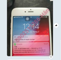 4 Cho Thuê Xe Tự Lái