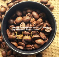 2 Cafe hạt rang mộc pha máy cho đại lý tại Đồng Nai