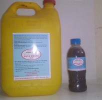 4 Chuyên bán buôn, bán lẻ  MẮM TÔM  đặc sản  HẬU LỘC - THANH HÓA 4 Chuyên bán buôn, bán lẻ  MẮM TÔM  đặc sản  HẬU LỘC - THANH HÓA