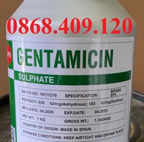 Gentamycin