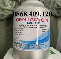 2 Gentamycin