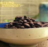 Cung cấp cà phê nguyên chất 100 tại Ninh Thuận