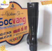 1 Ủng Đen 829 cao su Thuỳ Dương nhựa PVC-nử