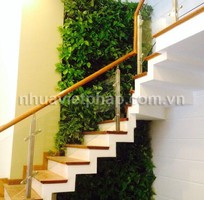 2 Modul vườn tường đứng mang thiên nhiên vào ngôi nhà bạn