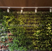 3 Modul vườn tường đứng mang thiên nhiên vào ngôi nhà bạn