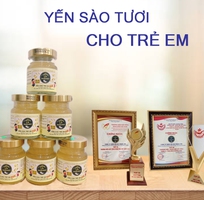 1 Yến sào tươi chưng đường phèn cho trẻ em  12 tuổi BANKNEST - Không chất bảo quản