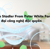 Quạt tháp Stadler From Peter White Fan hiện đại công nghệ độc quyền