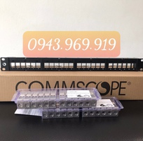 1 Patch panel 24 cổng Cat6 lắp cho tủ mạng