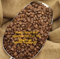 Cung cấp hạt cà phê nguyên chất, giá sỉ ổn định tại Cần THơ