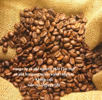 1 Cung cấp hạt cà phê nguyên chất, giá sỉ ổn định tại Cần THơ
