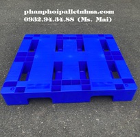 2 Pallet nhựa tại An Giang, pallet nhua An Giang với giá rẻ cạnh tranh