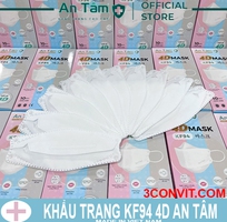 2 Hộp 10 chiếc khẩu trang 4D tiêu chuẩn KF94 An Tâm