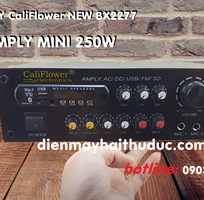 Amply Karaoke bình dân Cali Flower BX2277 công suất đạt 250W