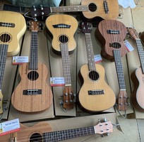 1 Cửa hàng chuyên bán đàn ukulele giá rẻ chất lượng quận Bình Tân